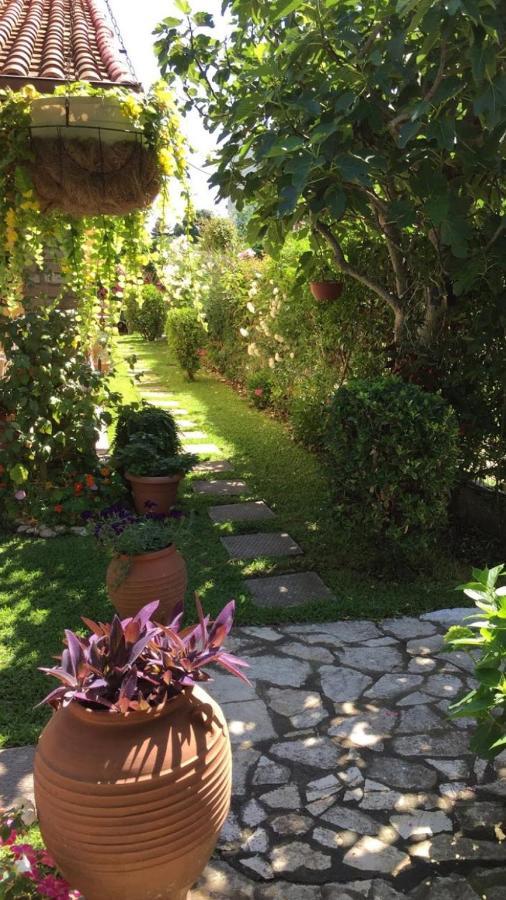 Villa Tina Country Beach Apartments アカラヴィ エクステリア 写真