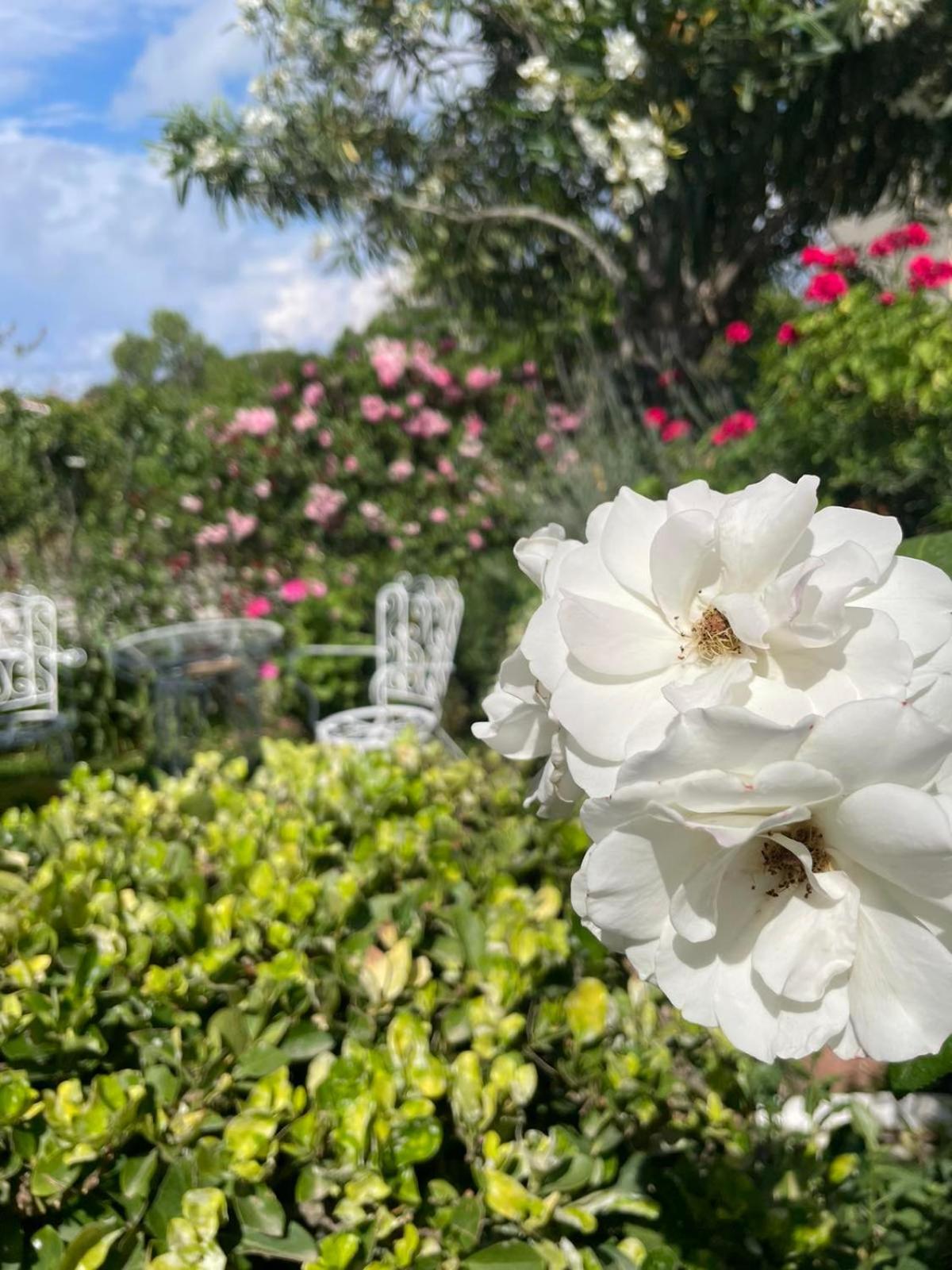 Villa Tina Country Beach Apartments アカラヴィ 部屋 写真