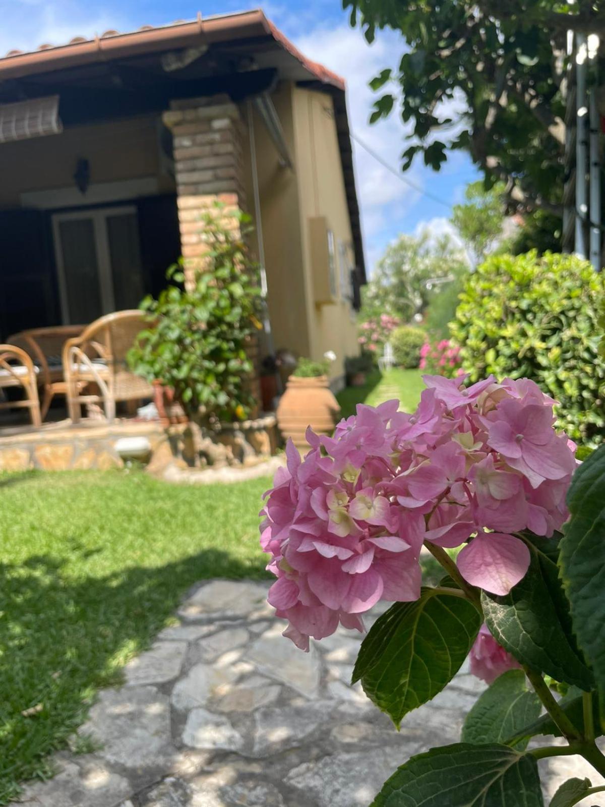 Villa Tina Country Beach Apartments アカラヴィ 部屋 写真