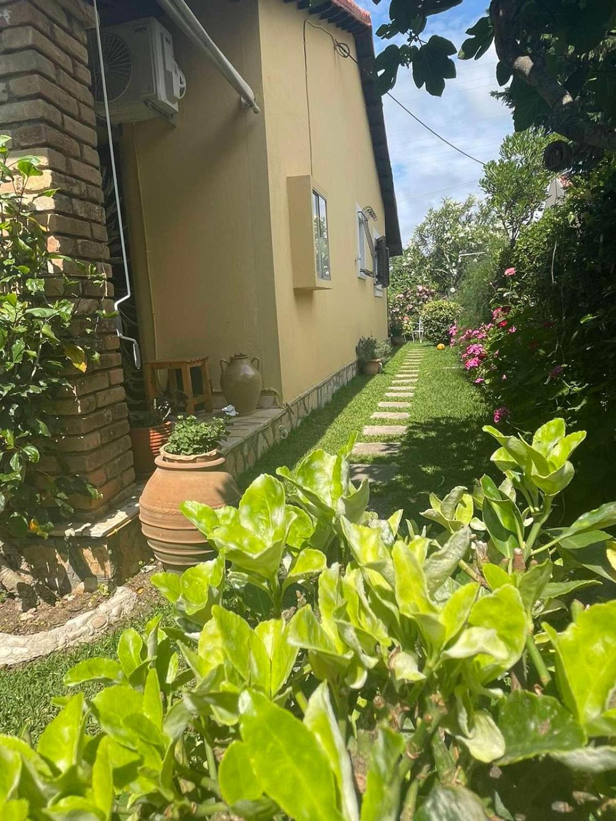 Villa Tina Country Beach Apartments アカラヴィ 部屋 写真