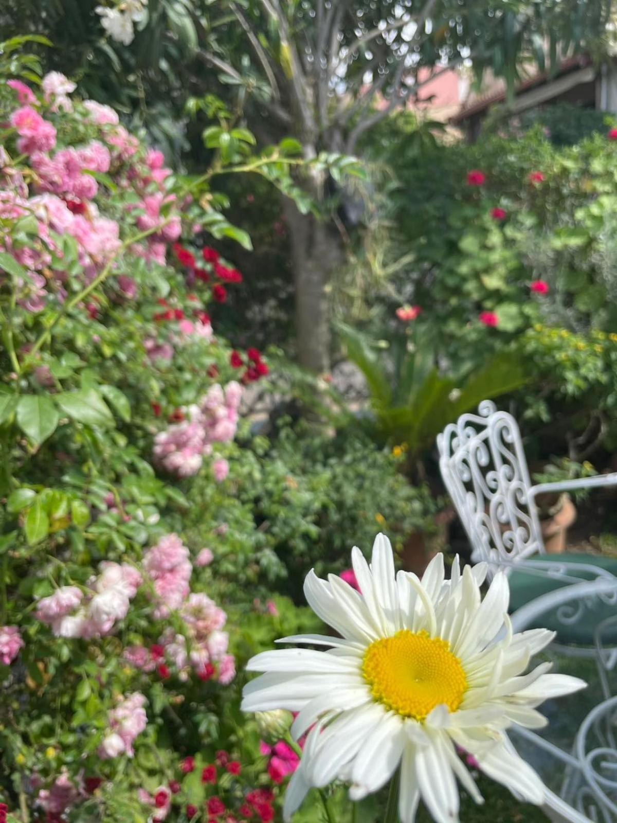 Villa Tina Country Beach Apartments アカラヴィ 部屋 写真
