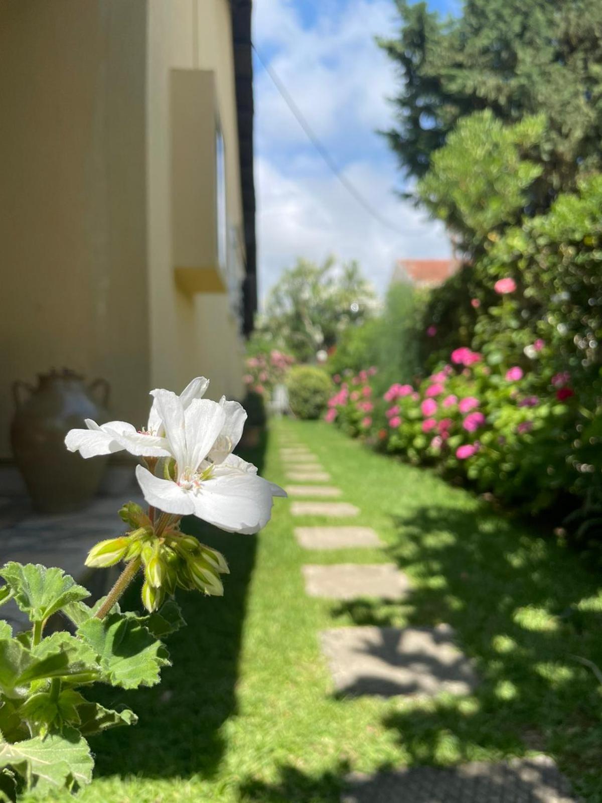 Villa Tina Country Beach Apartments アカラヴィ 部屋 写真