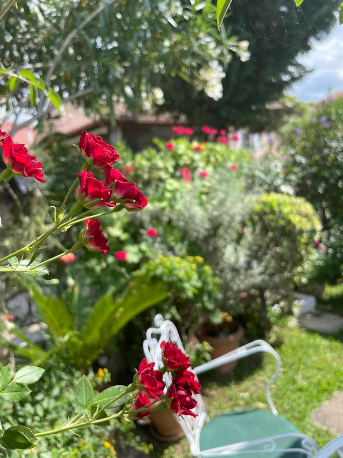 Villa Tina Country Beach Apartments アカラヴィ 部屋 写真