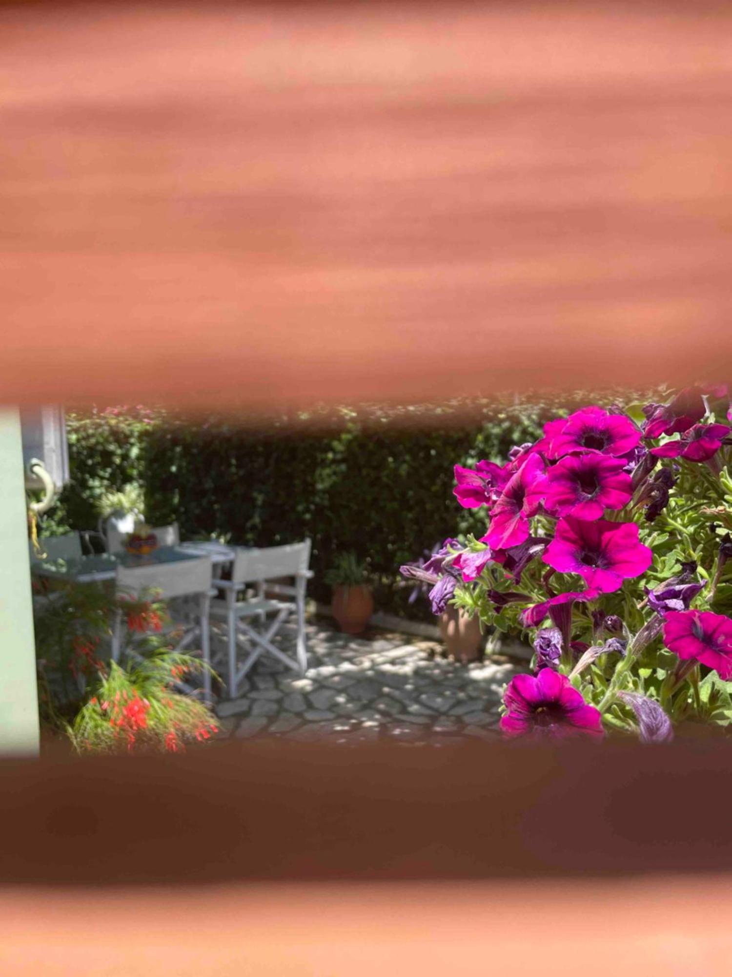 Villa Tina Country Beach Apartments アカラヴィ 部屋 写真