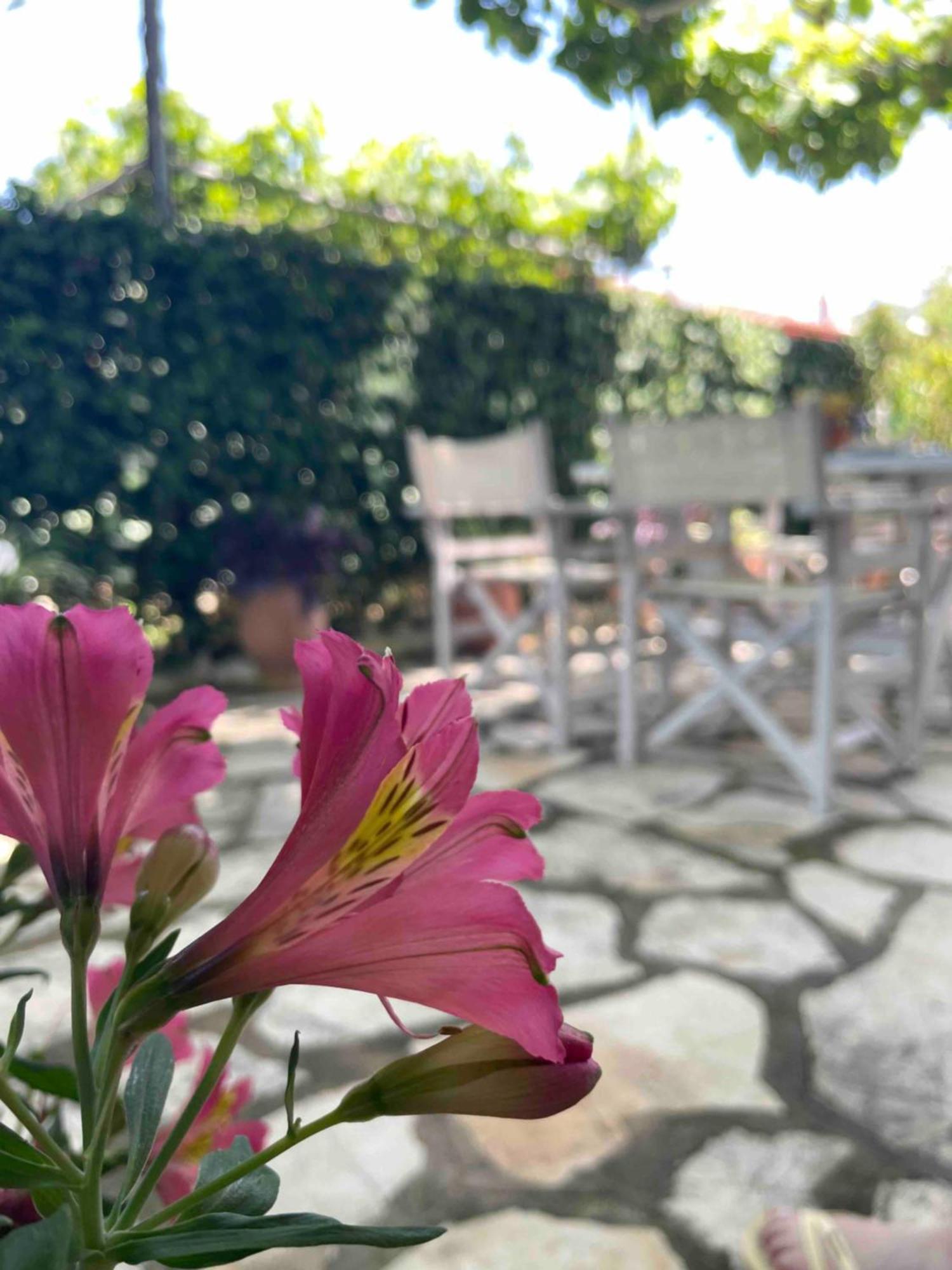 Villa Tina Country Beach Apartments アカラヴィ 部屋 写真